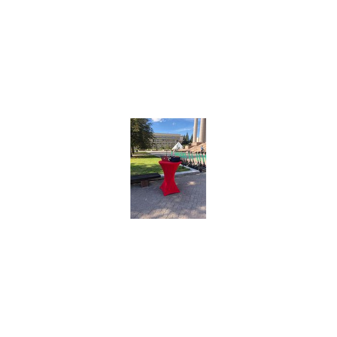 Red Bar Tablecloth (rent)