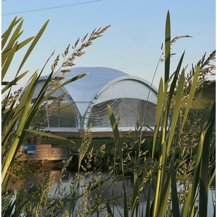 Arkinis Paviljonas (nuoma)