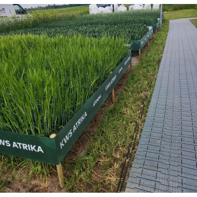 Plastic flooring (rent)