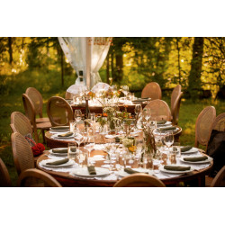 Rattan wooden chair (rent)